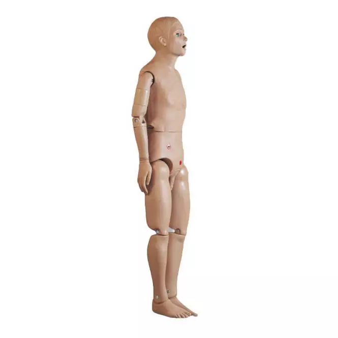  Mannequin de soins infirmiers base masculine