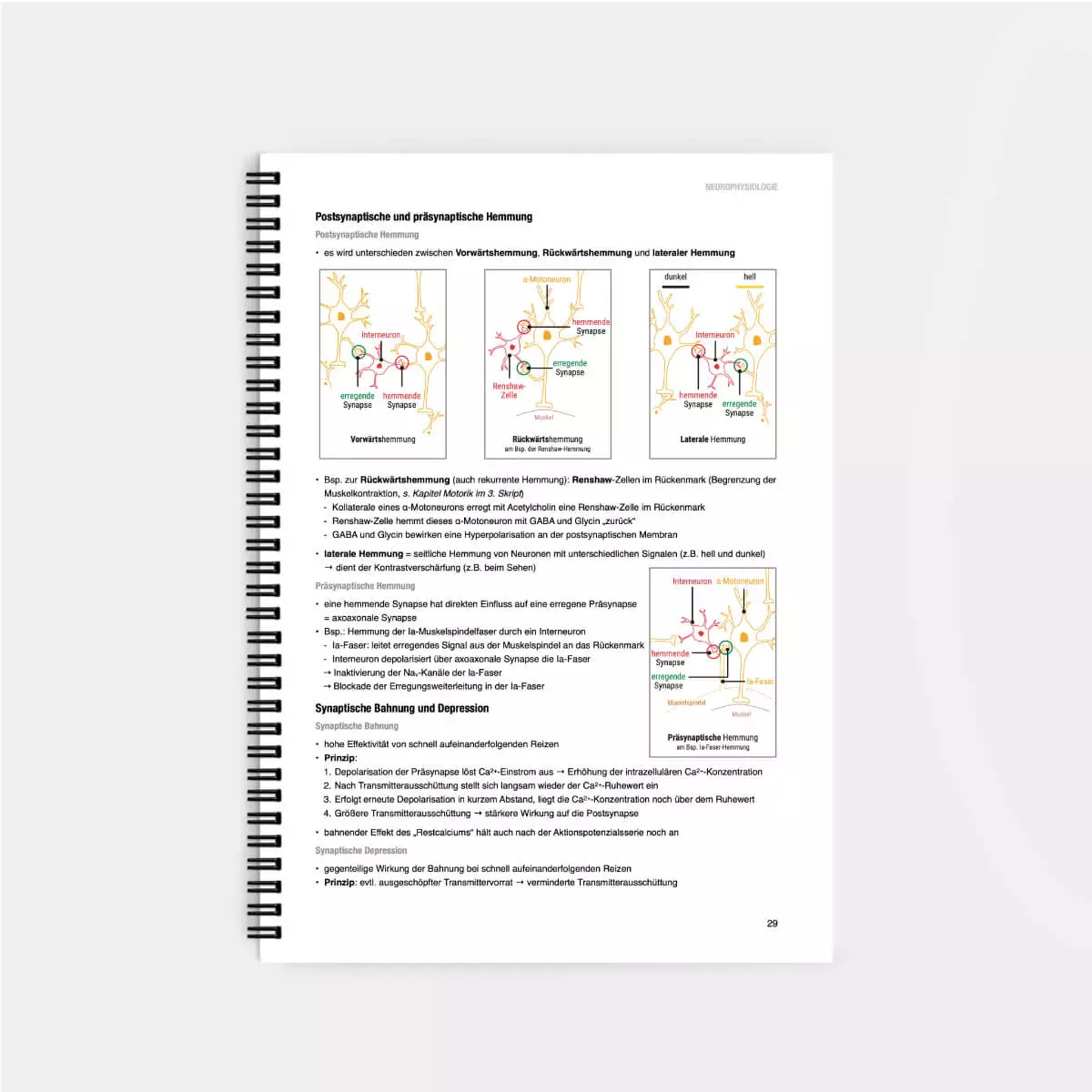  Physiologie Lernskript