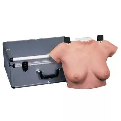  Modèle de palpation mammaire