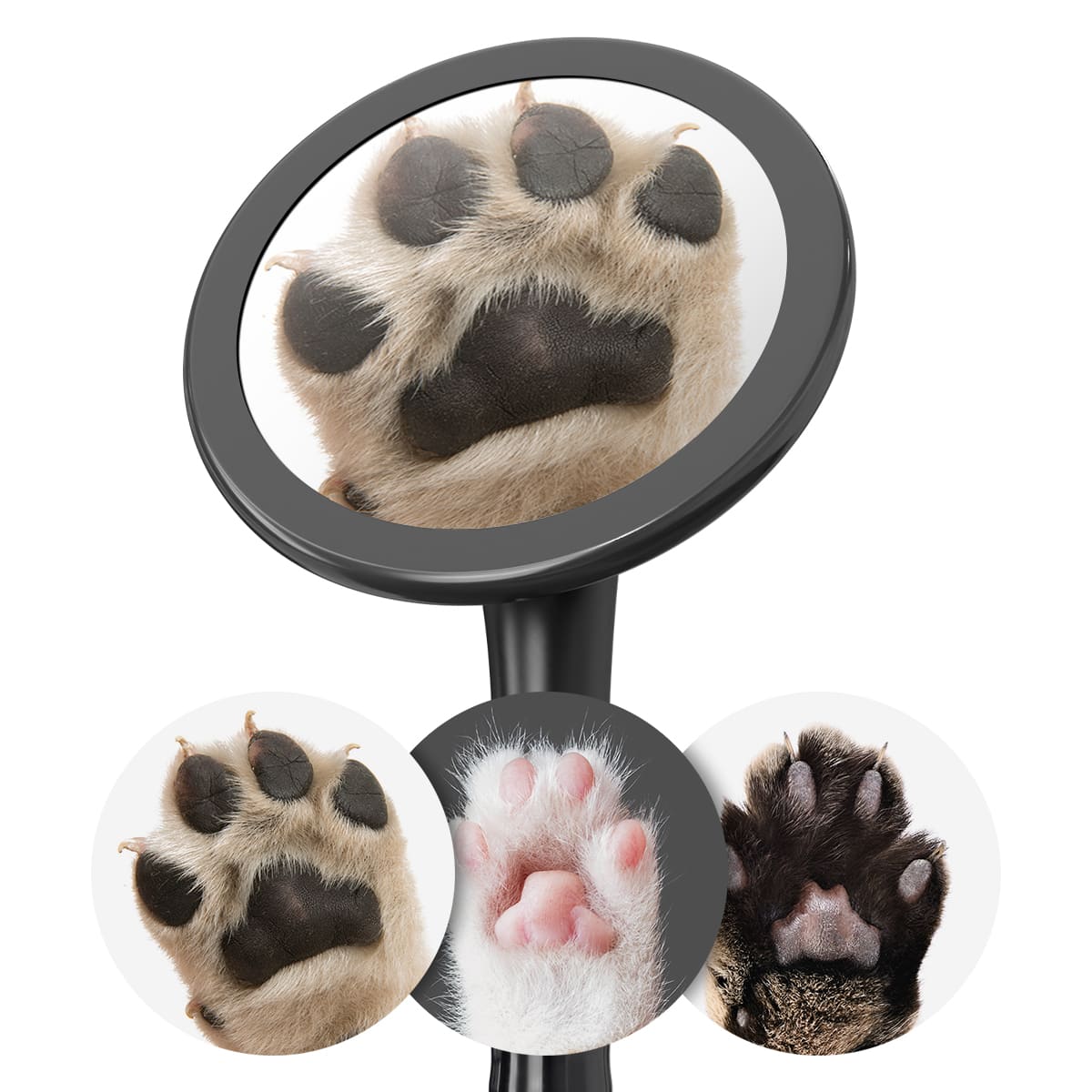 Bedruckte Fiberglas-Membransets "Drums"  Bedruckte Fiberglas-Membransets "Drums"