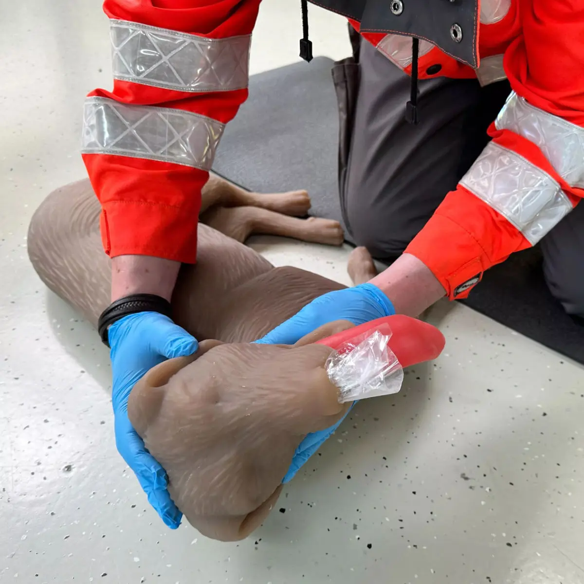 Mannequin de réanimation chez le chien « CooPeR » Mannequin de réanimation chez le chien « CooPeR »
