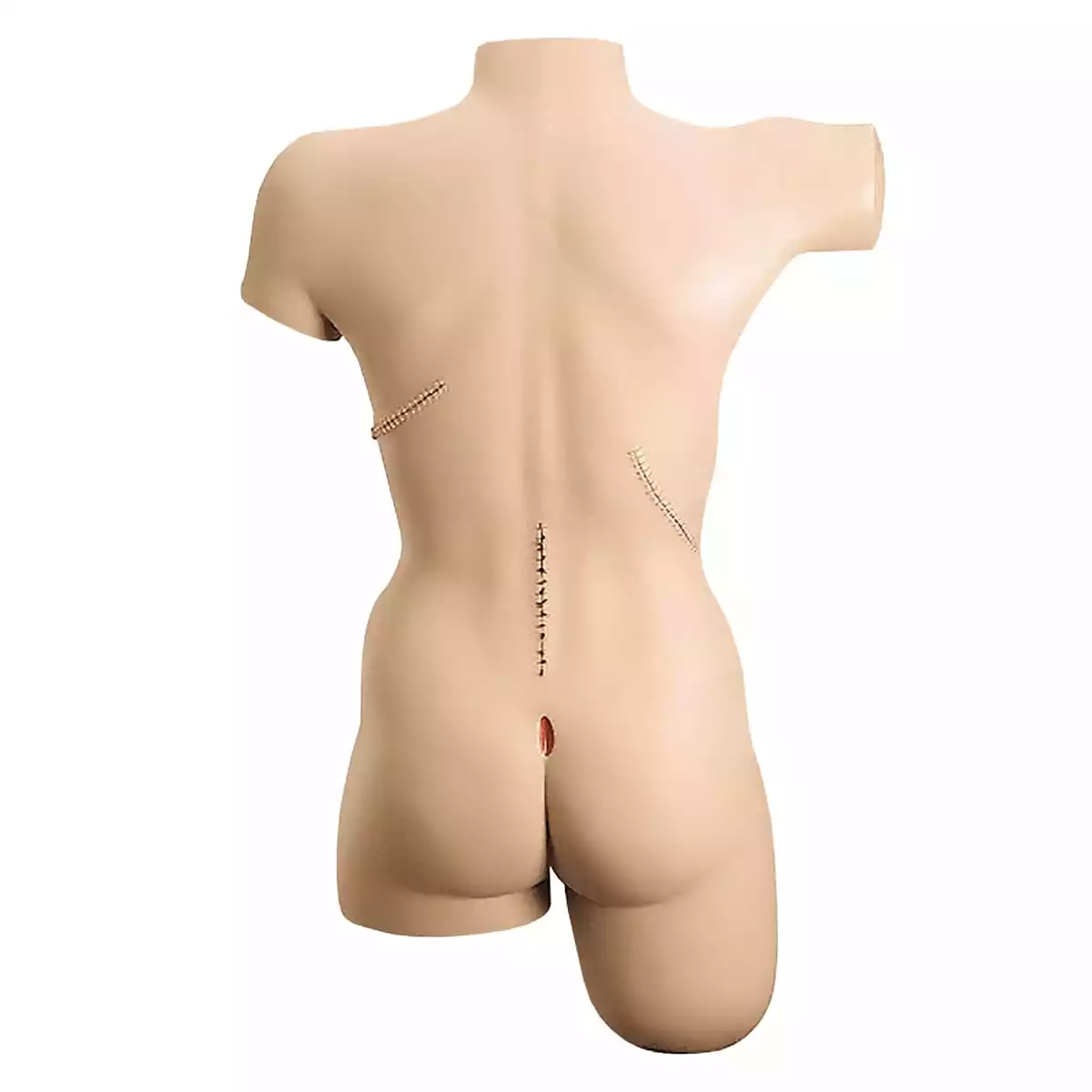  Mannequin de bandage chirurgical