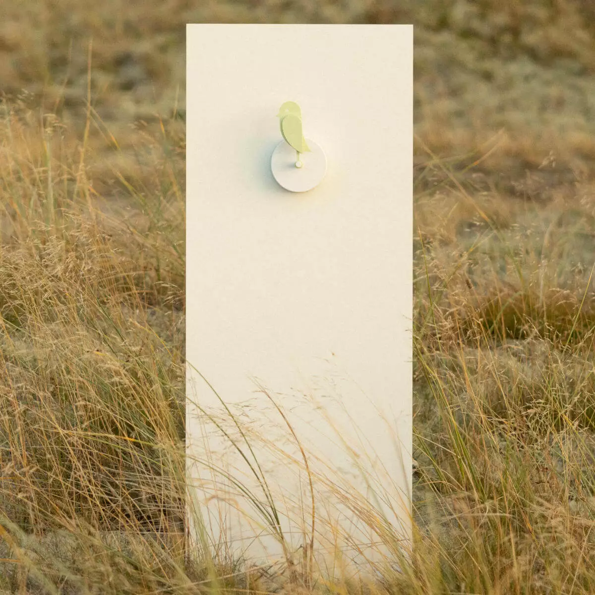  Capteur de qualité de l'air Birdie 2.0