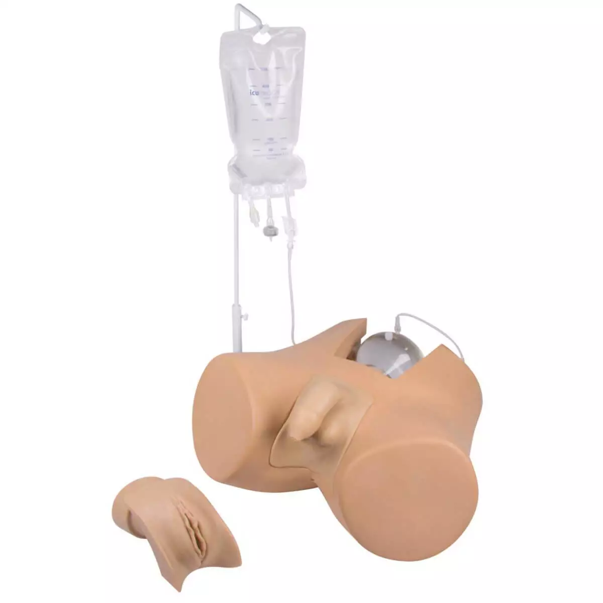  Modèle de cathétérisme trans-urétral de la vessie