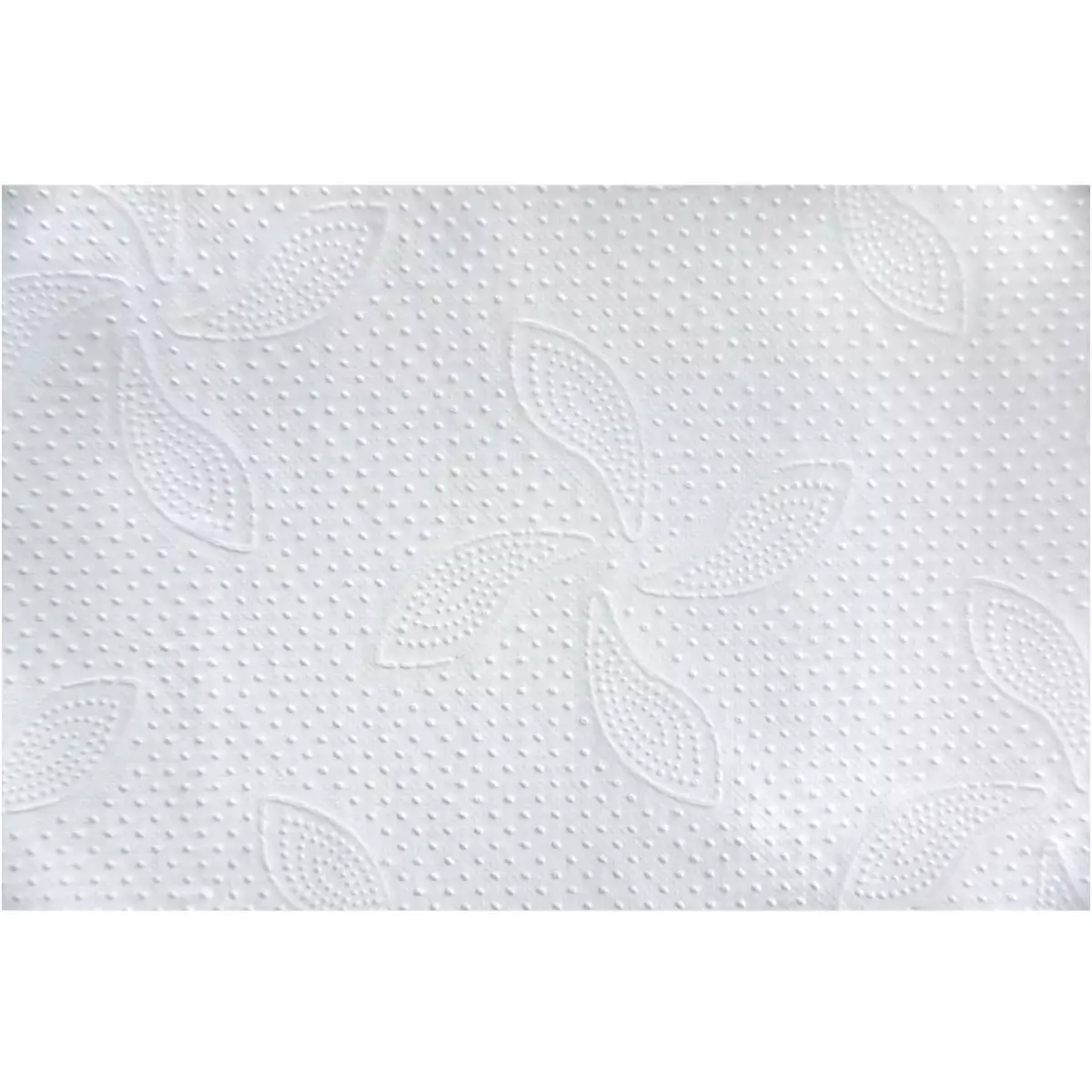  Papiers essuie-mains Non Stop