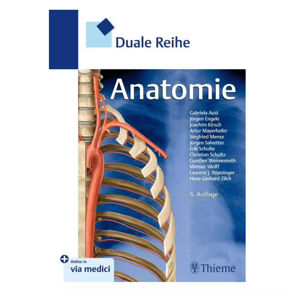  Série duale anatomie