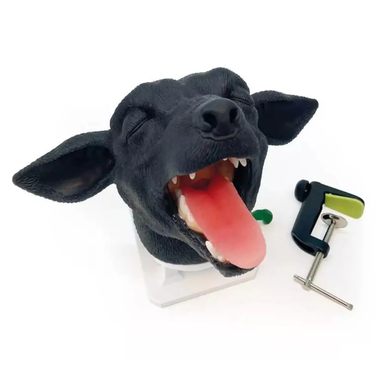  Tête d’intubation – chien