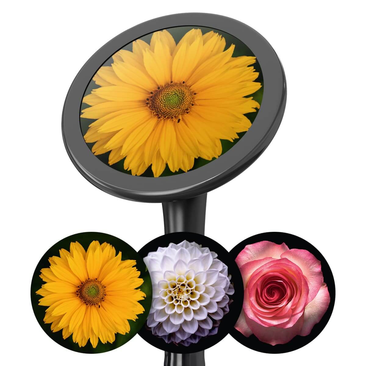 Bedruckte Fiberglas-Membransets "Drums"  Bedruckte Fiberglas-Membransets "Drums"