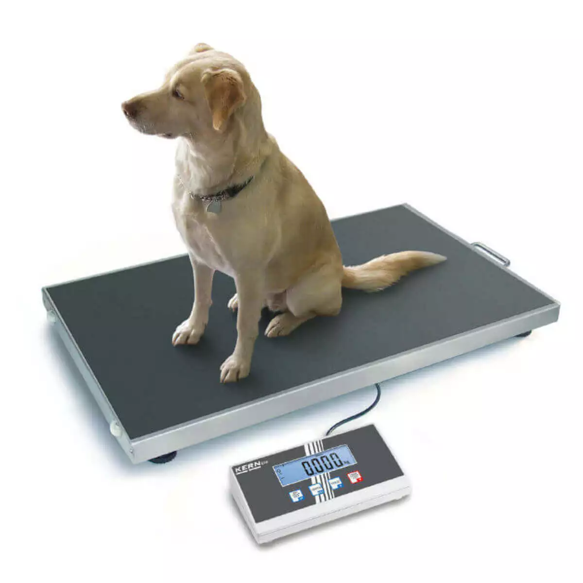  EOS Veterinärwaage