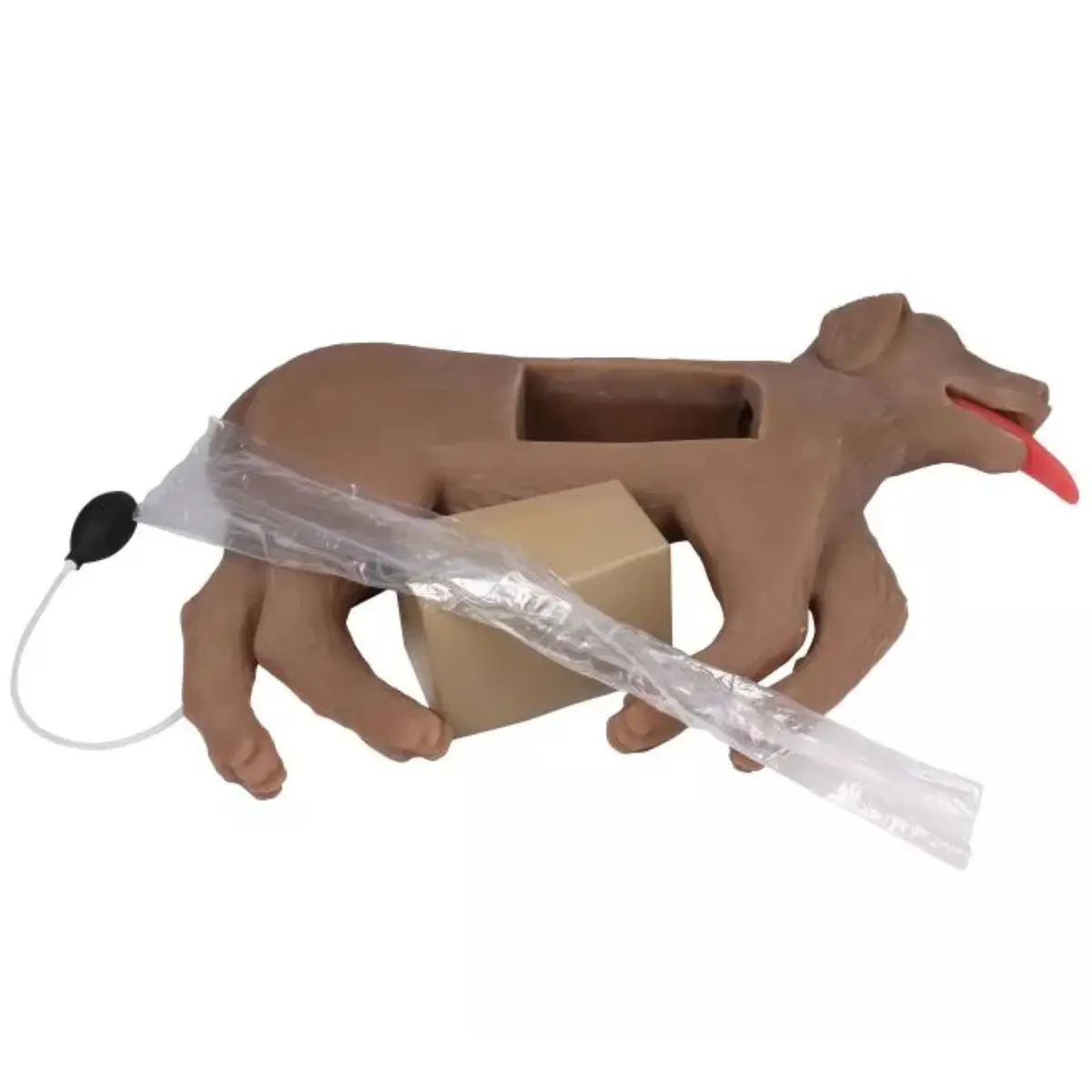Mannequin de réanimation chez le chien « CooPeR » Mannequin de réanimation chez le chien « CooPeR »