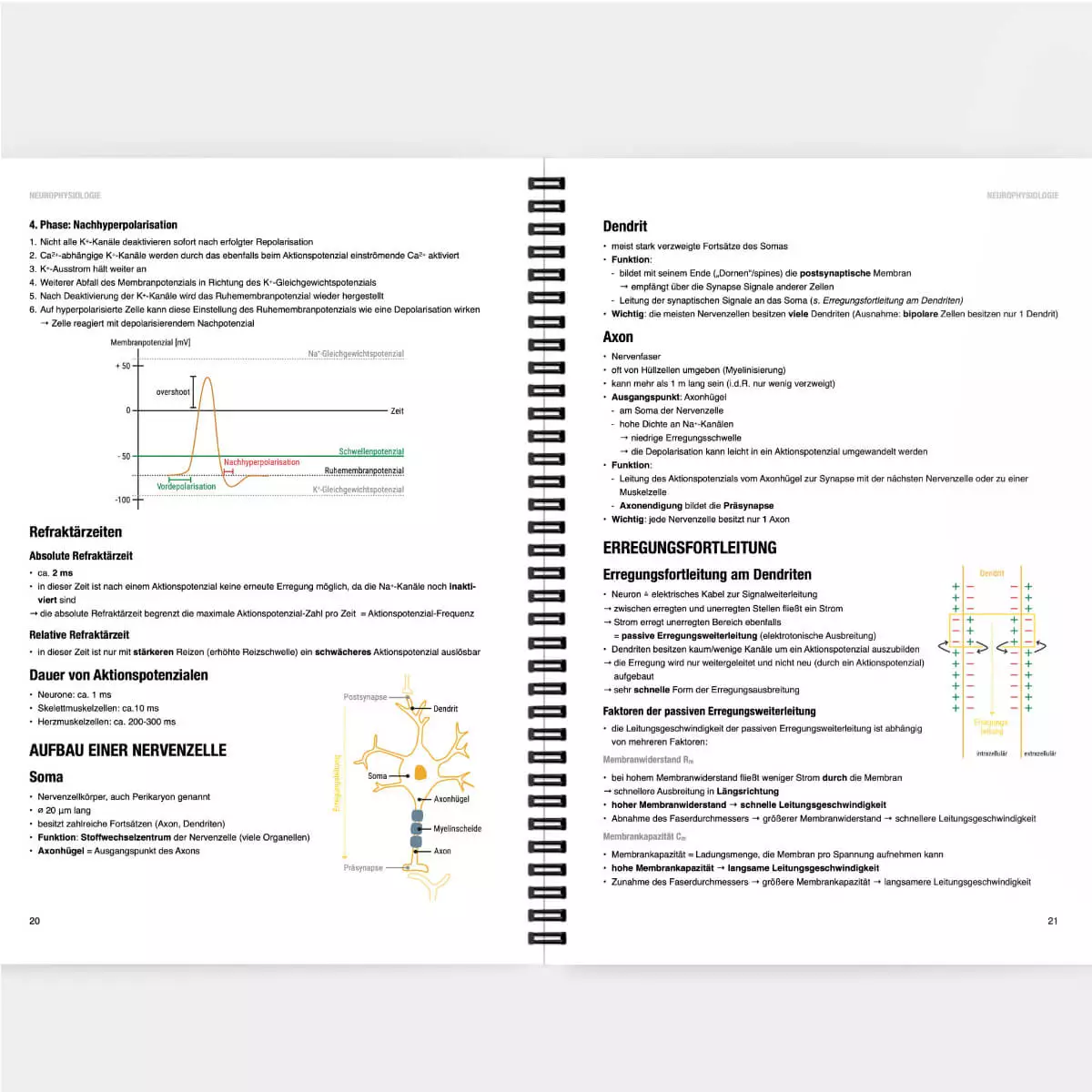  Physiologie Lernskript