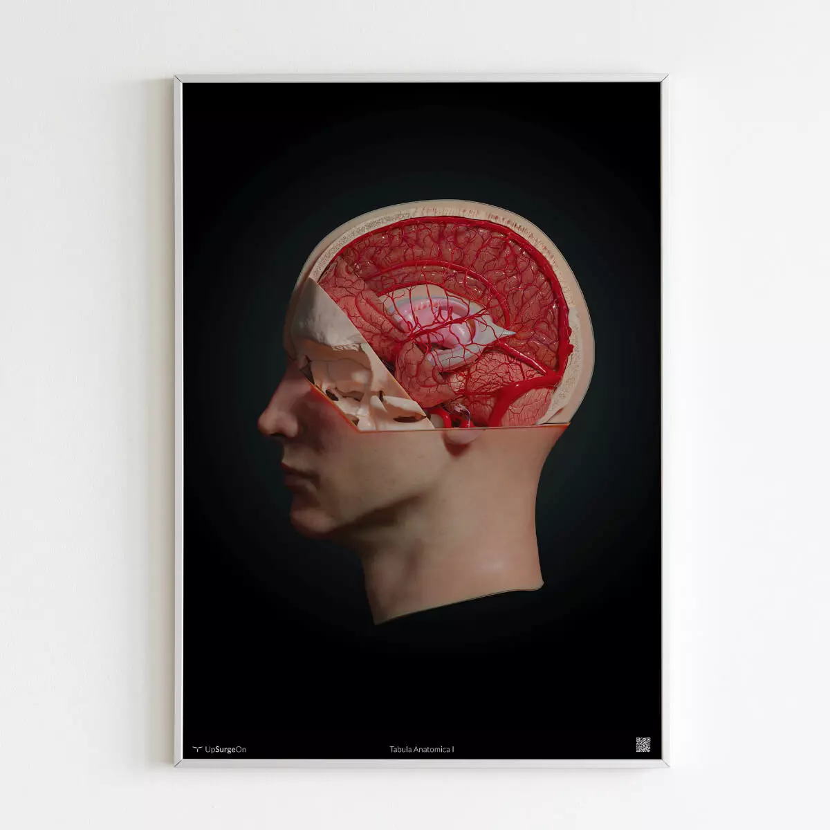  AnatomyARt Tabula Anatomica I