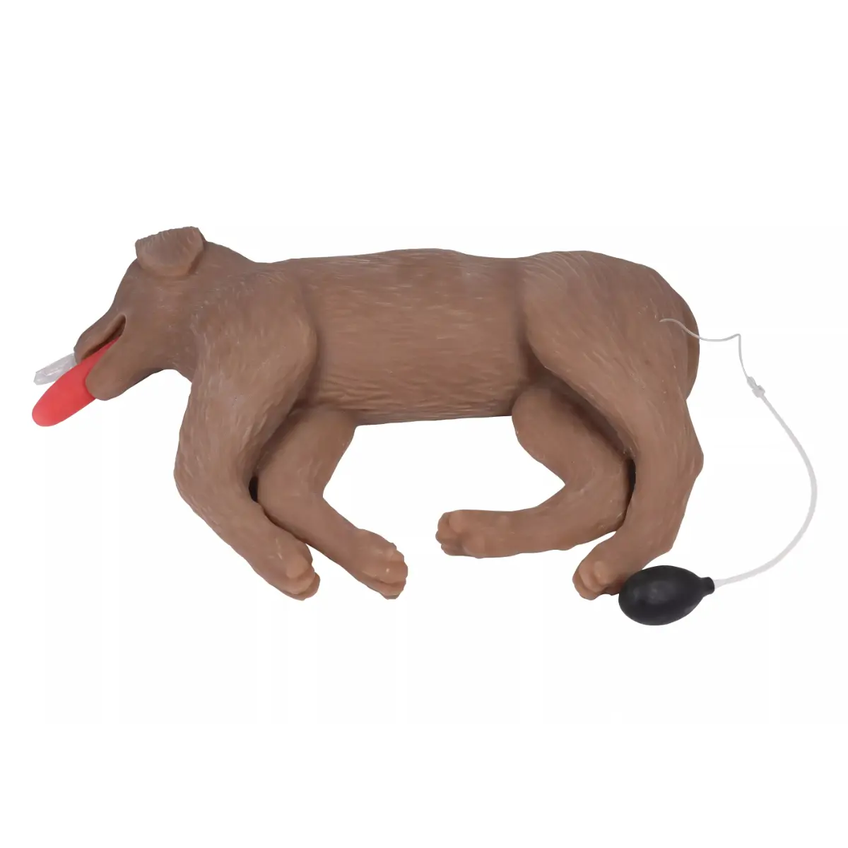 Mannequin de réanimation chez le chien « CooPeR » Mannequin de réanimation chez le chien « CooPeR »